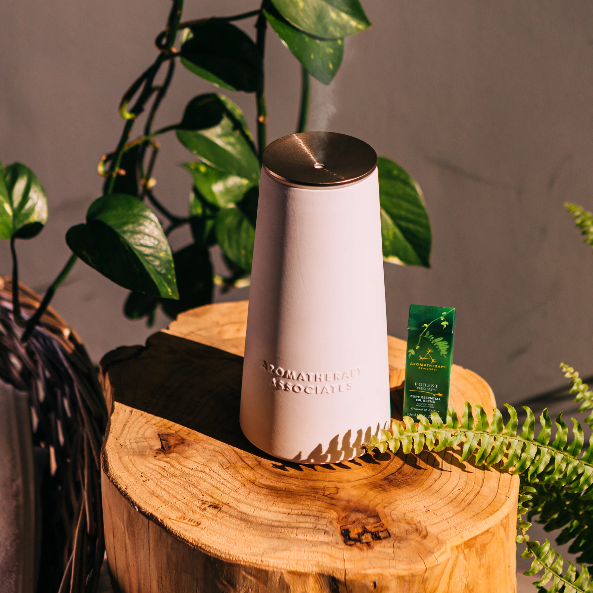 Elevate Your Inner Wellbeing